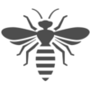 image of bee