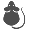 image of mouse