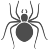 image of spider